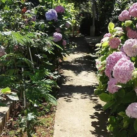 Croatia Borik Big Family On The Sea View Number 3 アパート *