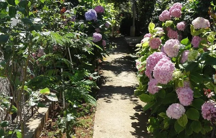 Croatia Borik Big Family On The Sea View Number 3 Appartement *